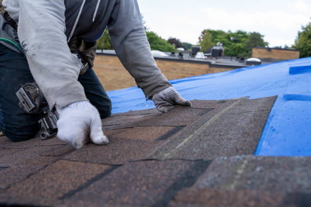 Roof Gutter Cleaning in Nottingham, PA
